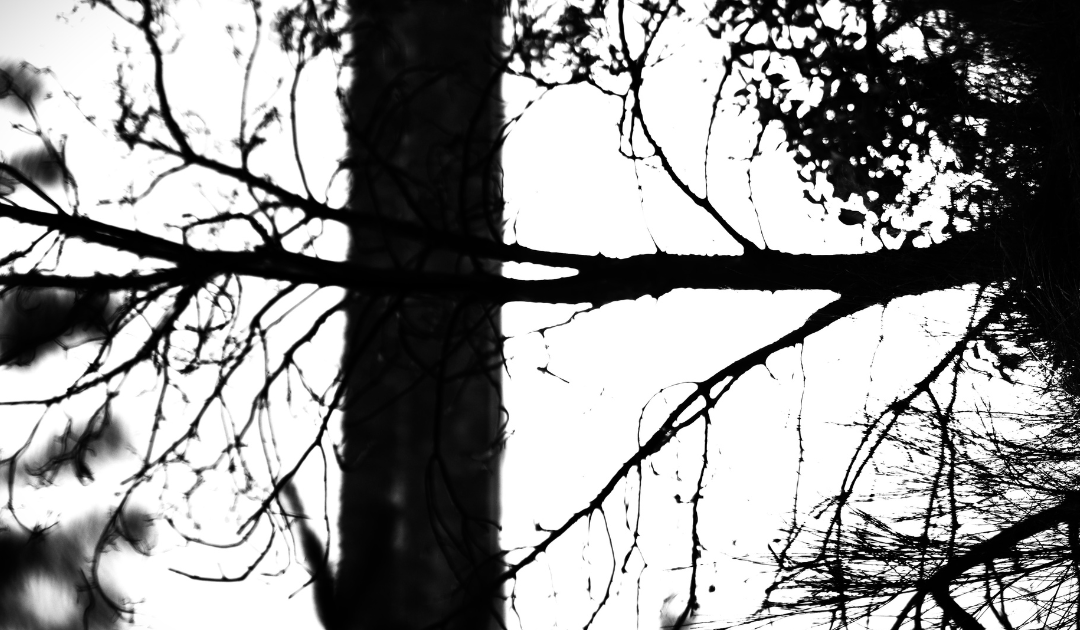 The Lore of the Blood Tree