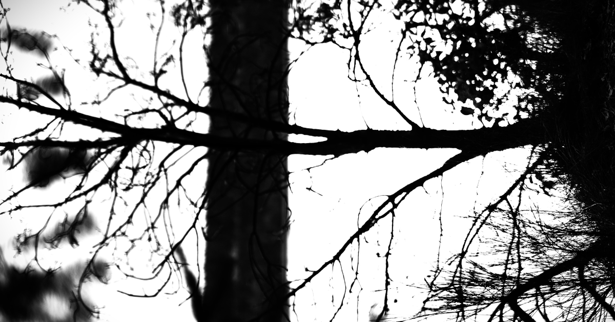 The Lore of the Blood Tree