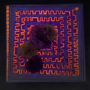 Lost Cell Glow