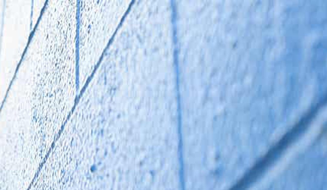 The Blue Brick Wall