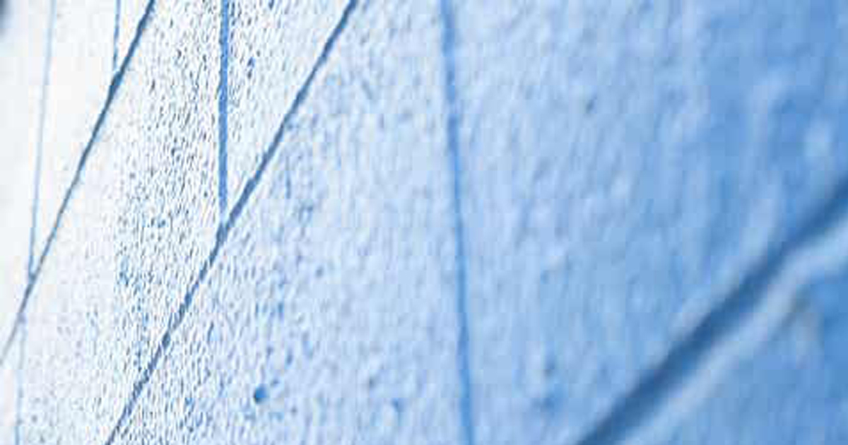 The Blue Brick Wall